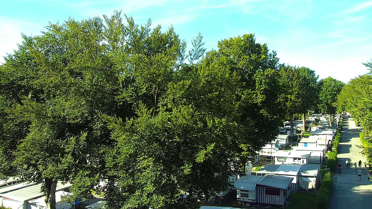 Freitag, 09:10